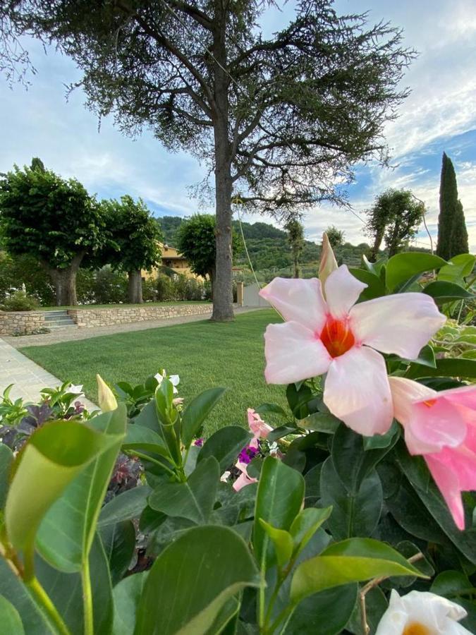 Relais Maria Cristina Bed & Breakfast Chianni Dış mekan fotoğraf